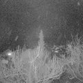 Webcam_20190326-200000