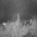 Webcam_20190326-203000