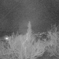 Webcam_20190327-200000