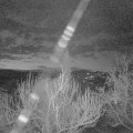 Webcam_20190331-050000