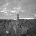 Webcam_20190331-053000