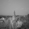 Webcam_20190331-193000