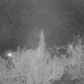 Webcam_20190331-213000