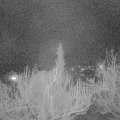 Webcam_20190331-220000