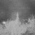 Webcam_20190401-210000