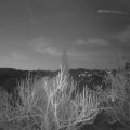 Webcam_20190402-050000