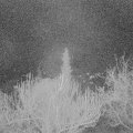 Webcam_20190402-213000