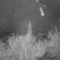 Webcam_20190403-050000