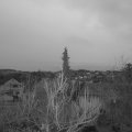 Webcam_20190403-053000