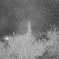 Webcam_20190403-210000