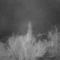 Webcam_20190405-050000