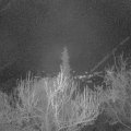 Webcam_20190408-200000