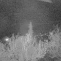 Webcam_20190410-210000