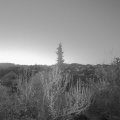 Webcam_20190411-050000