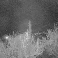 Webcam_20190411-220000