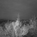 Webcam_20190412-200000