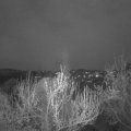 Webcam_20190413-200000