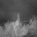 Webcam_20190414-210000