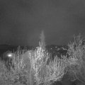 Webcam_20190416-215726