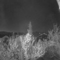 Webcam_20190419-050000