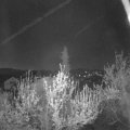 Webcam_20190420-050000