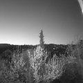 Webcam_20190420-053000