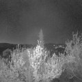 Webcam_20190421-050000