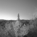 Webcam_20190423-053000