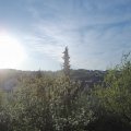 Webcam_20190423-073000