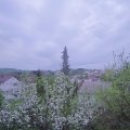 Webcam_20190423-200000