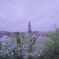 Webcam_20190423-203000