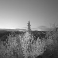 Webcam_20190424-053000