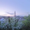 Webcam_20190424-060000