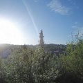 Webcam_20190424-073000