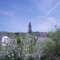 Webcam_20190424-140000