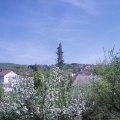 Webcam_20190424-143000