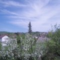 Webcam_20190424-153000