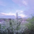 Webcam_20190424-200000