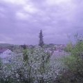 Webcam_20190424-203000