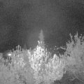 Webcam_20190424-220000