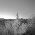 Webcam_20190425-053000