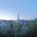 Webcam_20190425-060000