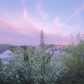 Webcam_20190425-203000
