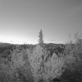 Webcam_20190426-053000