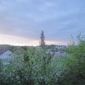 Webcam_20190426-063000