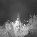 Webcam_20190426-220000