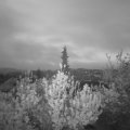 Webcam_20190427-053000