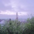 Webcam_20190427-060000