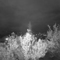 Webcam_20190427-213000