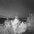 Webcam_20190429-050000